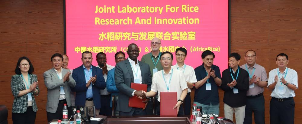 CNRRI–AFIRCARICE Joint Laboratory for Rice Research and Development Inaugurated and Begins Opera...