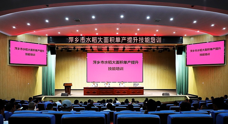 250615011.jpg