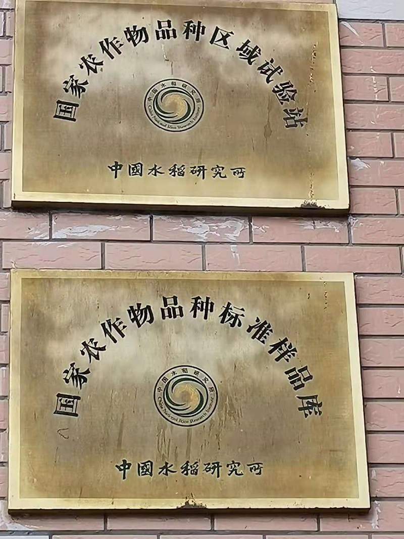 123441212.jpg