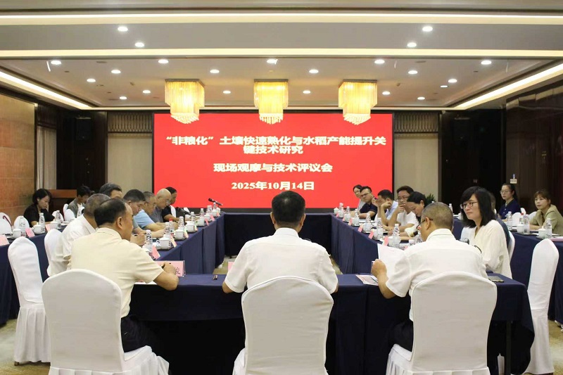 C2025101502.jpg
