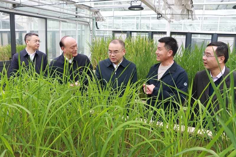 3-考察温室.jpg