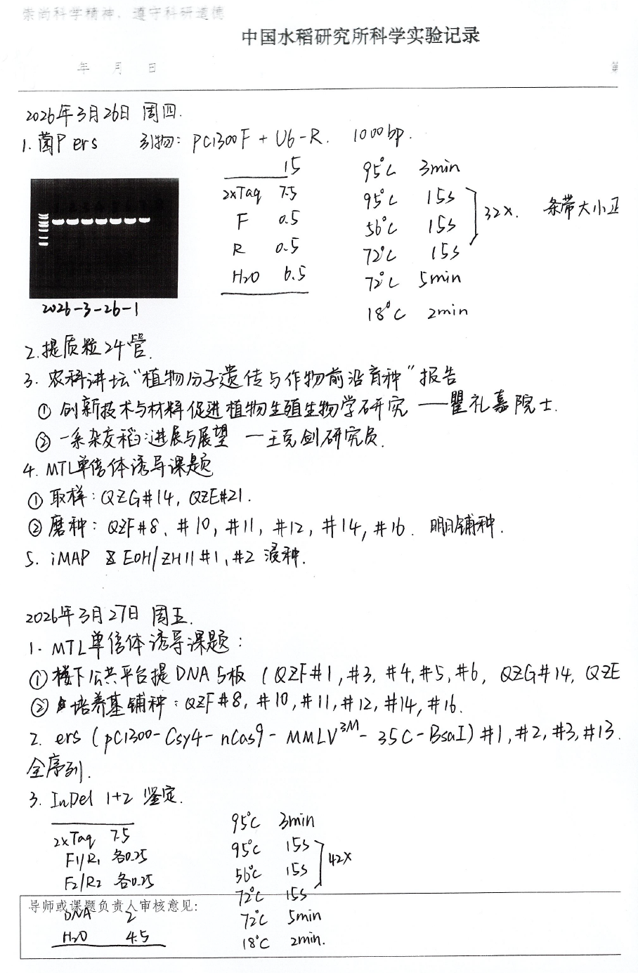 3 冯雯静.png