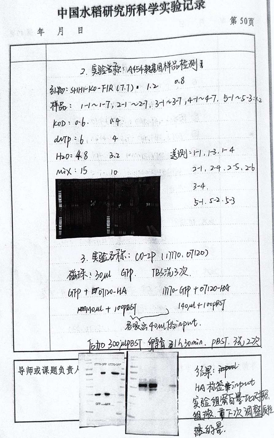 5 刘涛.png