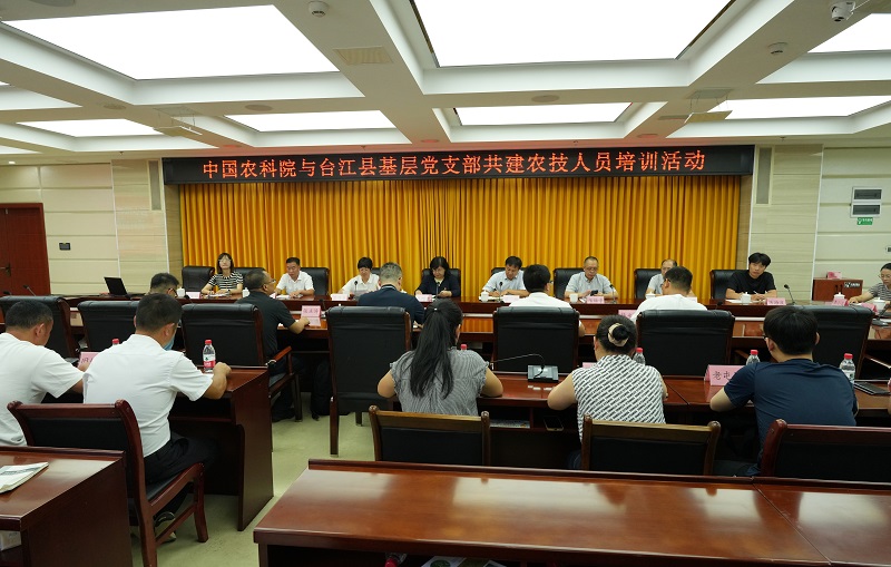 1-培训活动.jpg