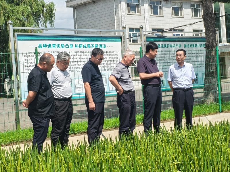 7-访问佳木斯水稻研究所1.jpg
