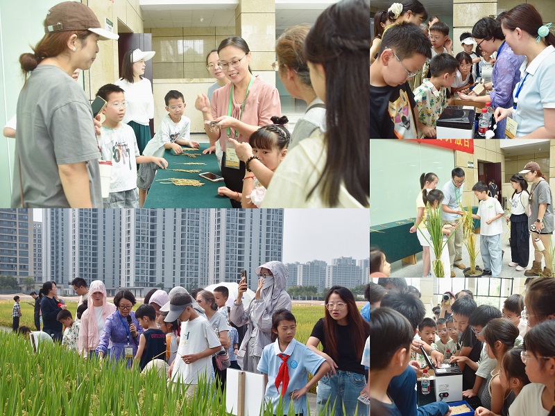 04.实践体验参观环节1.jpg