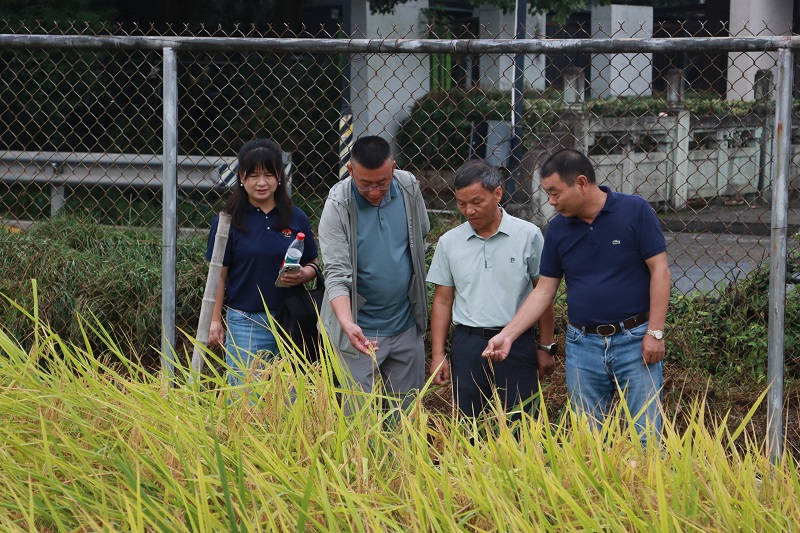 4-田间考察2111.jpg