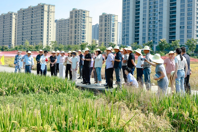 3-科研专家现场考察1013.jpg