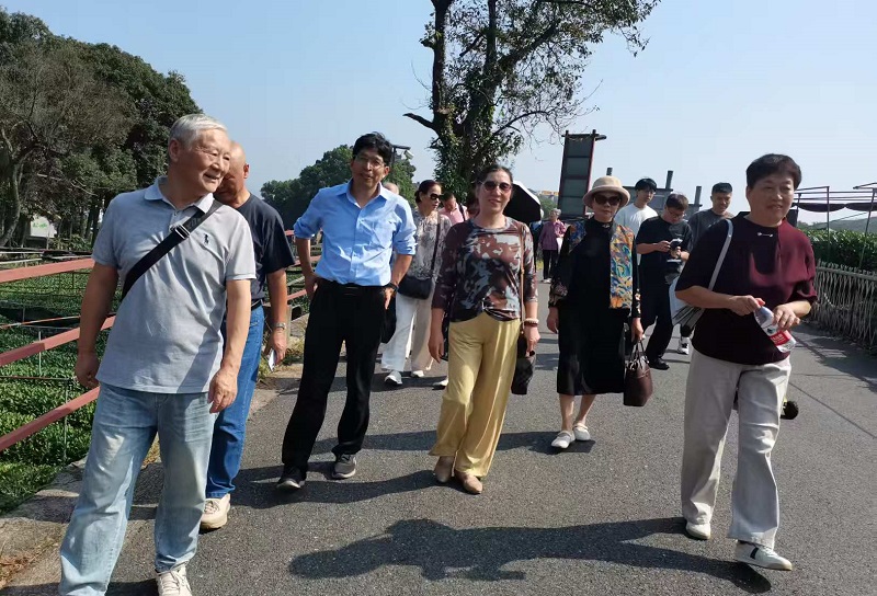 林间漫步1.jpg
