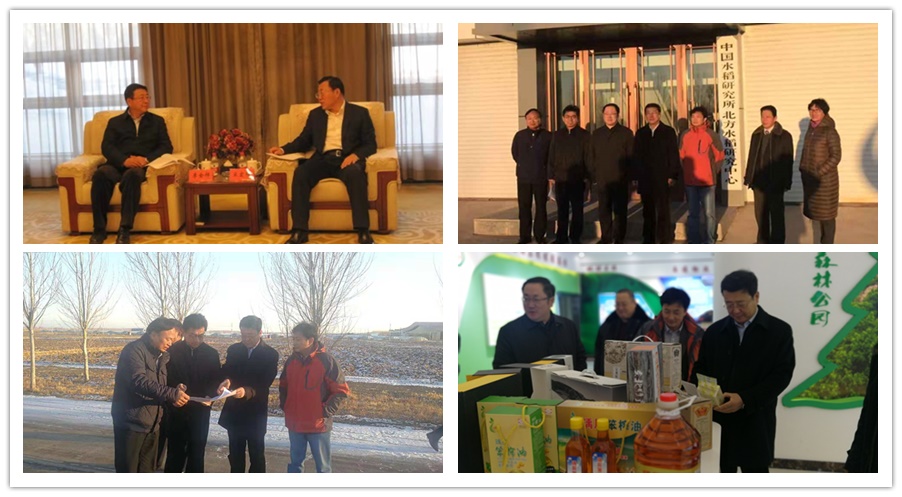 李金祥副院长赴双鸭山市,宝清县调研北方水稻研究中心建设